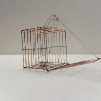 تله‌ی‌سهره‌تک‌خانه
