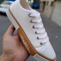 گالری کفش ملیح