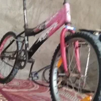 دوچرخه20|دوچرخه، اسکیت، اسکوتر|گوهرکوه, |دیوار