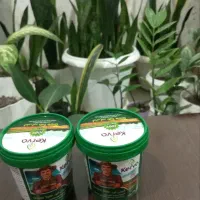 قرص کود، ریشه زایی،رویش