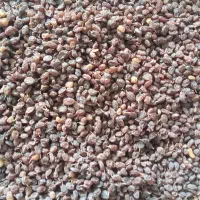 محصولات  ملایر.گردوتویسرکان کیلوی۲۸۰.برگه کشمش