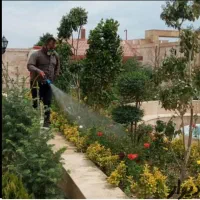 باغبانی و در ختکاری با ۱۵ سال سابقه کار