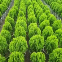 فروش عمده کود