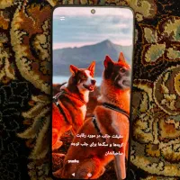 Poco x6 512