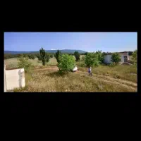 زمین سند تک برگ بر جاده سراسری پیته نو