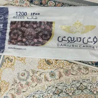 فرش|فرش|گلستان (تهران), |دیوار