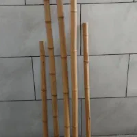 بامبو