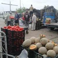 جانا خربزه طالبی لیمو انبه