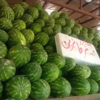 هندوانه 23تومان