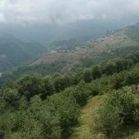 زمین-مسکونی-شهرک-مرداسی