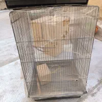 قفس کاسکویی هشت خوان