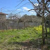زمین ۳۴۰ متری،سند دار