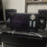 ضبط خانگی