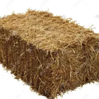 کاه عدلی