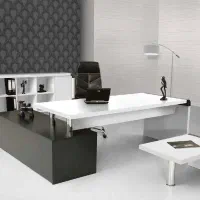 استخدام منشی مدیر عامل خانوم