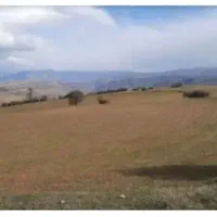 ۱۳ هزار متر زمین کشاورزی دیم،متری ۱۰۰ هزار تومن