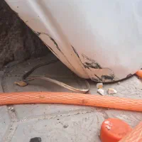 کاپوت وگلگیر پارس