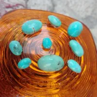 فیروزه نیشابوری