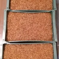 فروش کرم میلورم