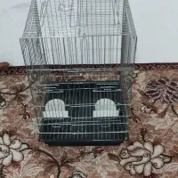 قفس بزرگ عروس پاریس