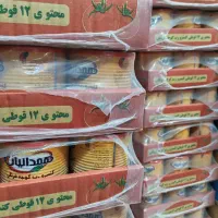 رب همدانیان همه سایز