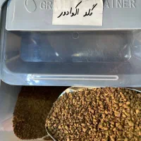 انواع قهوه فوری ، کلاسیک ،گلد  پخش ملودی شات