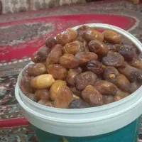 رطب کبکاب