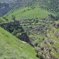 حریف تمرینی جودو