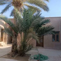 اقامتگاه-سنتی-سویت
