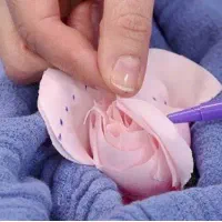 لابیاپلاستی10میلیون،زیبایی واژن،خدمات مامایی آموزش
