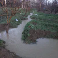 انجام کارهای باغبانی