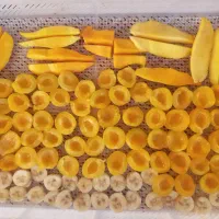 پودر میوه خشک، انبه و موز|خوردنی و آشامیدنی|بهارستان, |دیوار