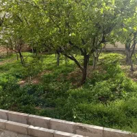 باغچه-نظرآباد