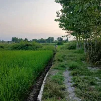 زمین مسکونی تجاری