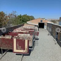 قالیشویی تمام اتوماتیک پارلاق شفق تضمینی 33294447