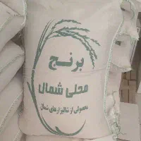 برنج عنبربو محلی شمال