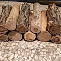 فروش هیزم جنگلی و باغی