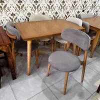 ناهارخوری برلیان طوسی مجتمع زرکالا