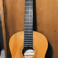 گیتار Fernando