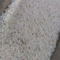 فروش برنج طارم کشت دوم