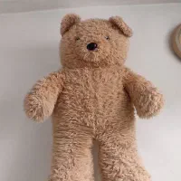 خرس بزرگ
