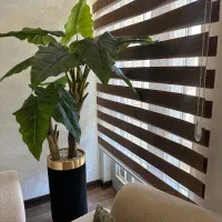 اجاره اتاق در کلینیک زیبایی