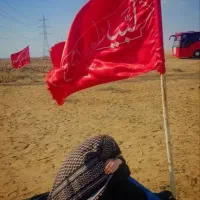 موکب حضرت رقیه س