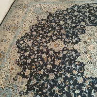 یک تخته فرش ۱۲ متری