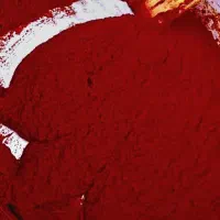رب خانگی اعلای هیزم پز