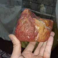 جاسبر فوق کلکسیونی
