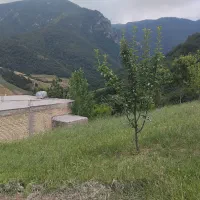 ملک-مسکونی