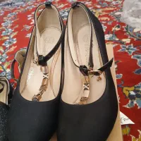 کفش مجلسی|کیف، کفش، کمربند|قم, شهر قائم|دیوار