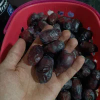 خرما مضافتی