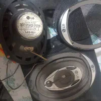 باند خربزه ای . ال جی